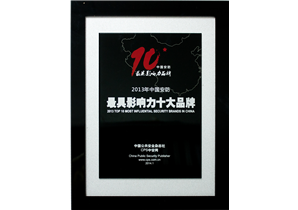 2013年中國(guó)安防最具影響力十大(dà)品牌